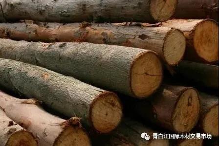 【木材資訊】1-2月國內(nèi)木材進(jìn)口降幅超兩成！