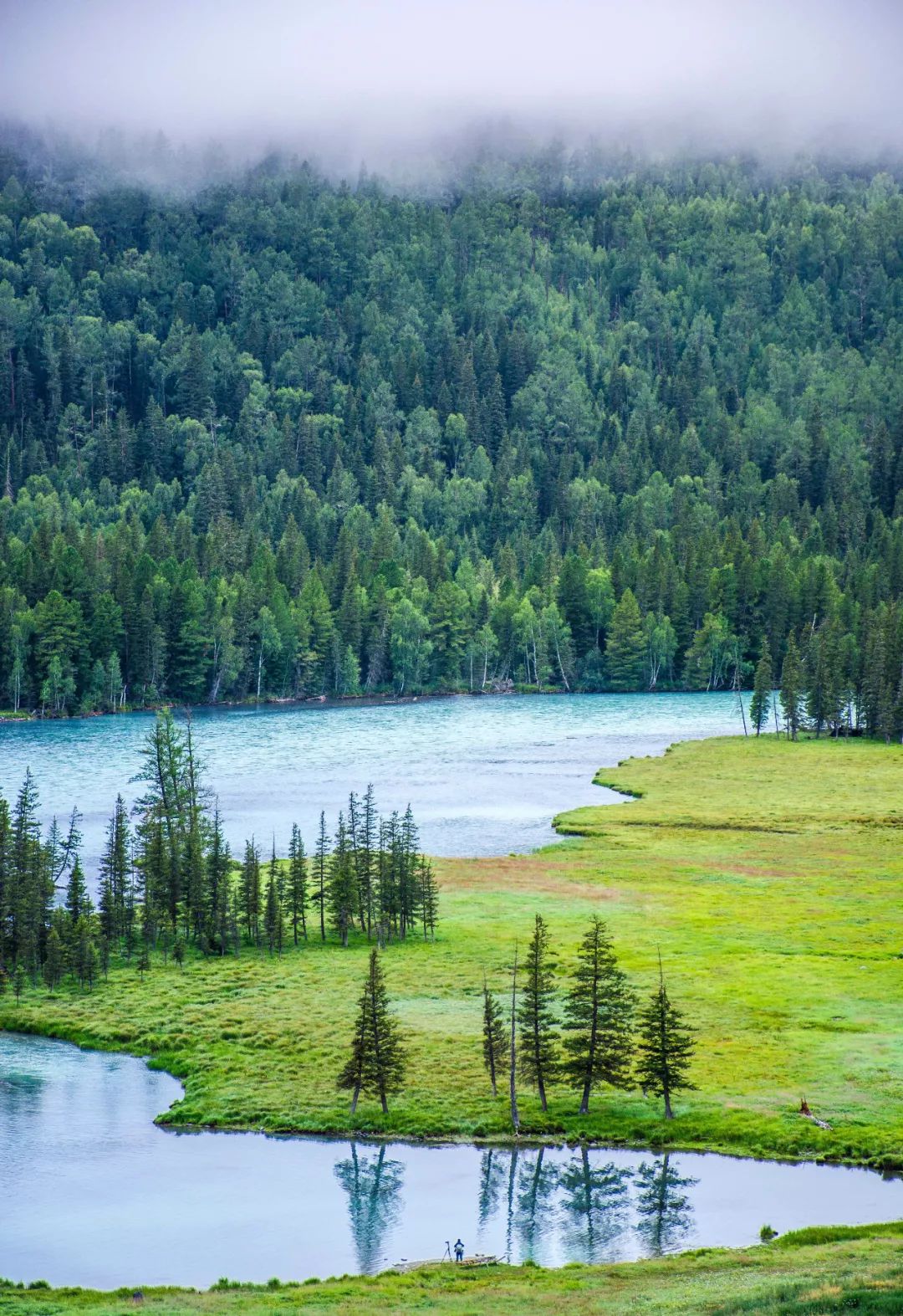 【木材資訊】俄羅斯木材：約42%供應(yīng)給了中國