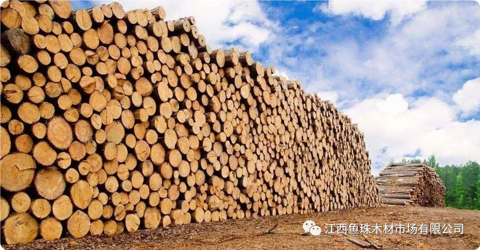 【木材資訊】國(guó)外熱帶材需求旺盛或?qū)⑼聘呶覈?guó)木材價(jià)格