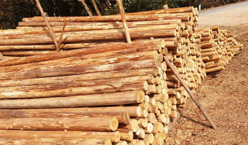 【木材資訊】國務(wù)院：降低我國木材進(jìn)口關(guān)稅