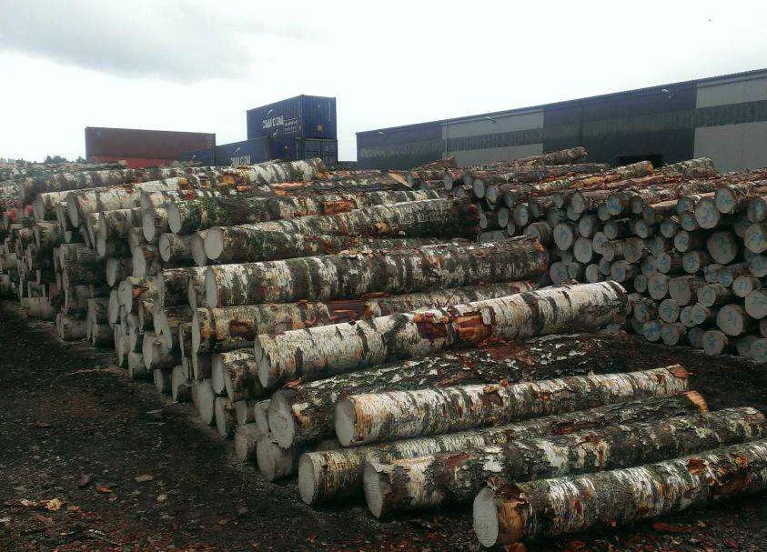 【木材資訊】韓國明年起對非法木材產(chǎn)品實施進(jìn)口聯(lián)合查驗
