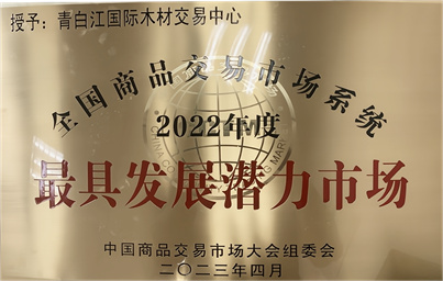 2022年度最具發(fā)展?jié)摿κ袌?chǎng)3